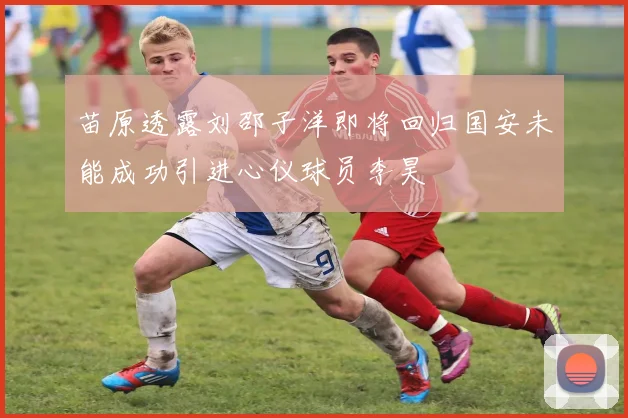 苗原透露刘邵子洋即将回归国安未能成功引进心仪球员李昊